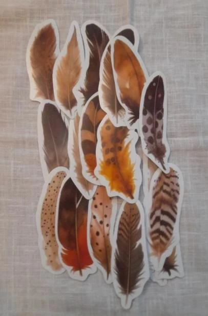 Conjunto de pegatinas de plumas para manualidades – photo 2